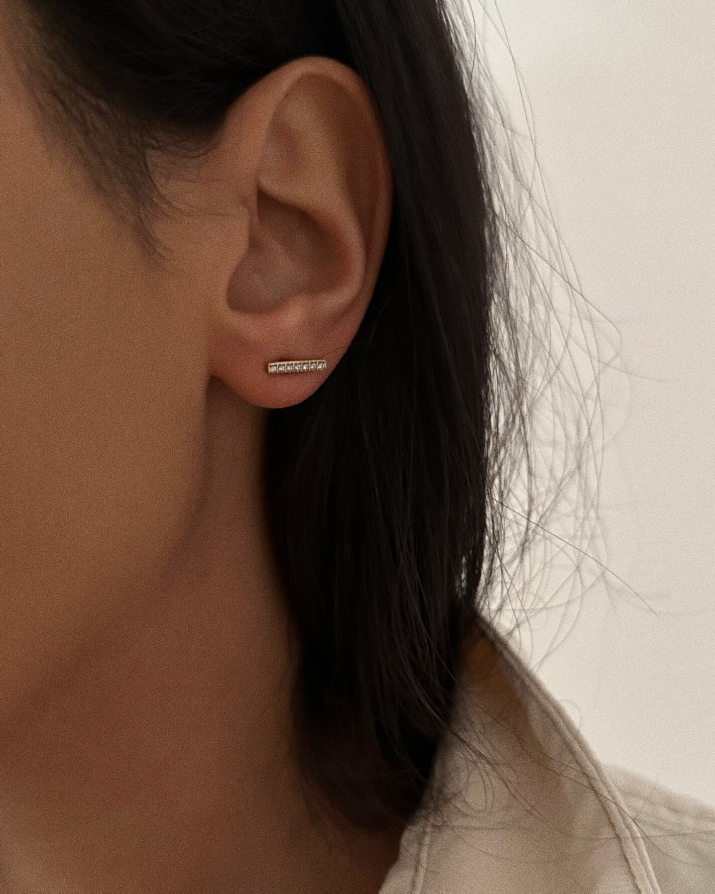 Boucles ALOSA