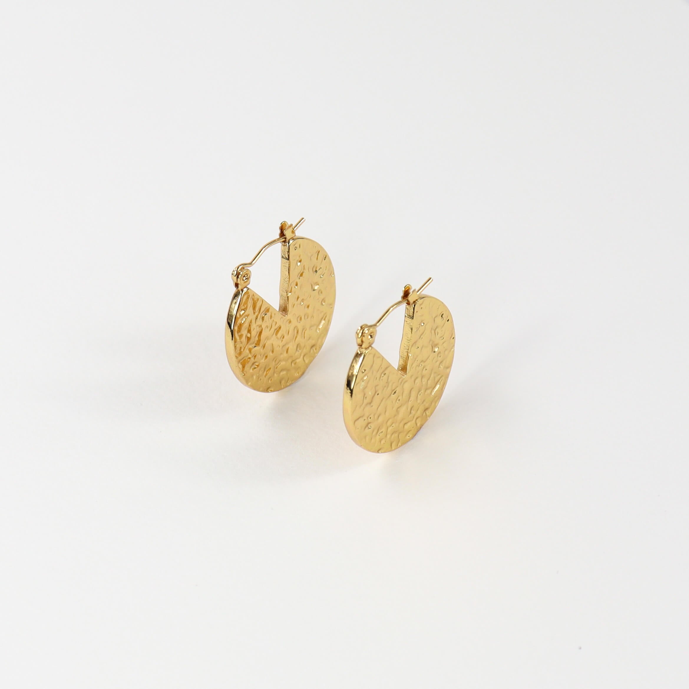 Boucles ARGUS