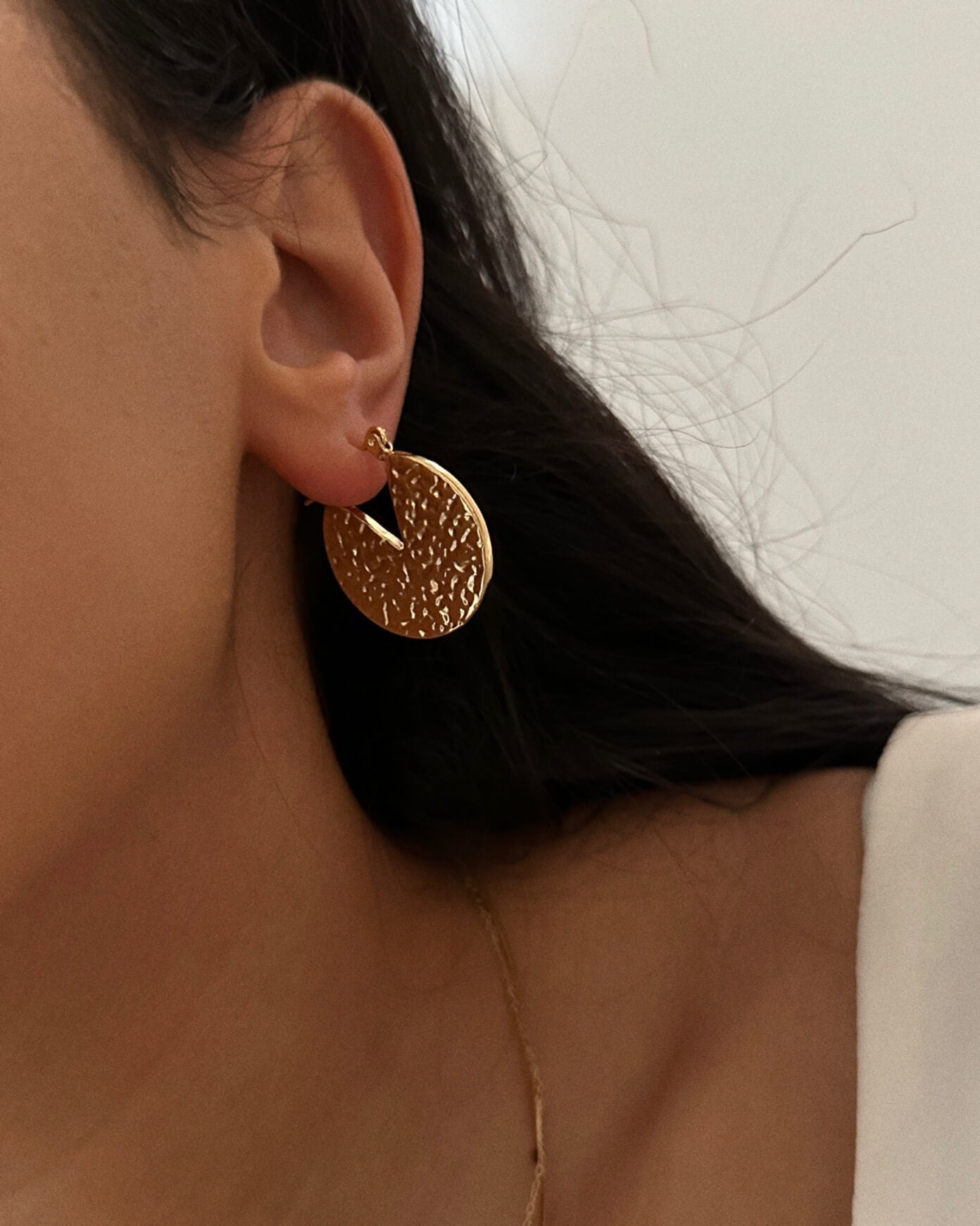 Boucles ARGUS